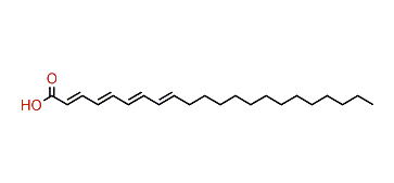 Docosatetraenoic acid